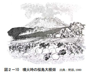 桜島大正大噴火の恐怖～流れる溶岩で島と半島が地続きになった日